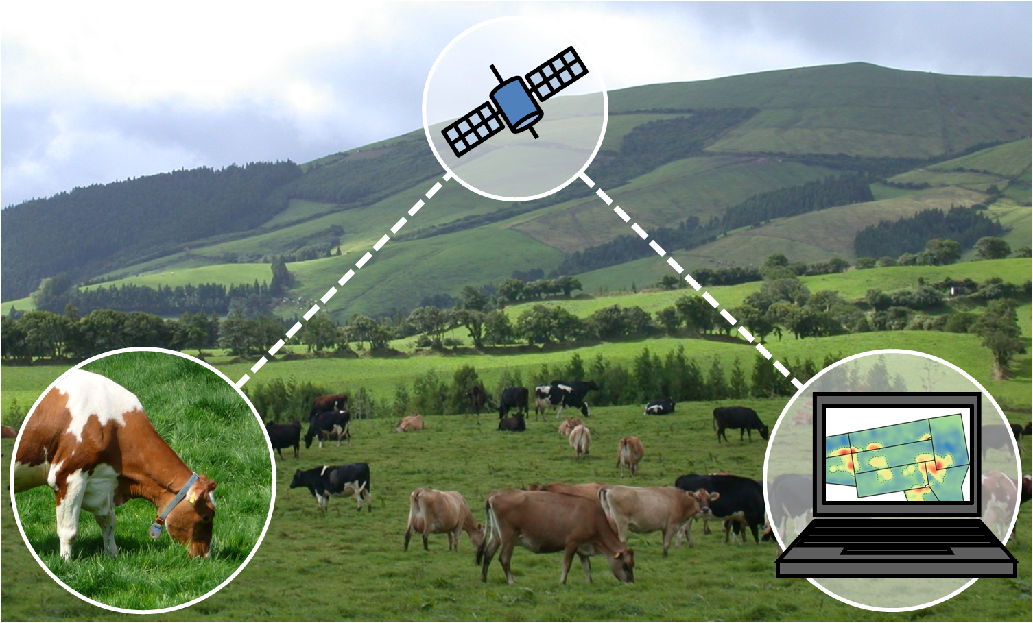 Innovative technologies for grazing systems of the future